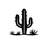Black and White Desert Cactus_1 White