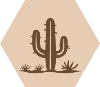 Brown1 Desert Cactus_1 White