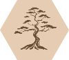 Brown1 Tree Margrave_1 White