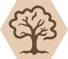 Brown1 Tree Oak_1 White