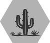 GrayDark Desert Cactus_1 White