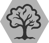 GrayDark Tree Oak_1 White