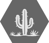 GrayLight Desert Cactus_1 Black