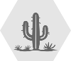 GrayLight Desert Cactus_1 White