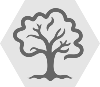 GrayLight Tree Oak_1 White