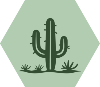 GreenDark1 Desert Cactus_1 White