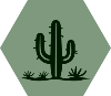 GreenDark2 Desert Cactus_1 White
