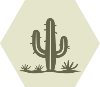 GreenDun Desert Cactus_1 White