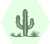GreenLight1 Desert Cactus_1 White