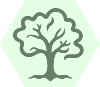 GreenLight1 Tree Oak_1 White
