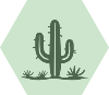 GreenLight2 Desert Cactus_1 White