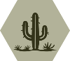 GreenOlive Desert Cactus_1 White